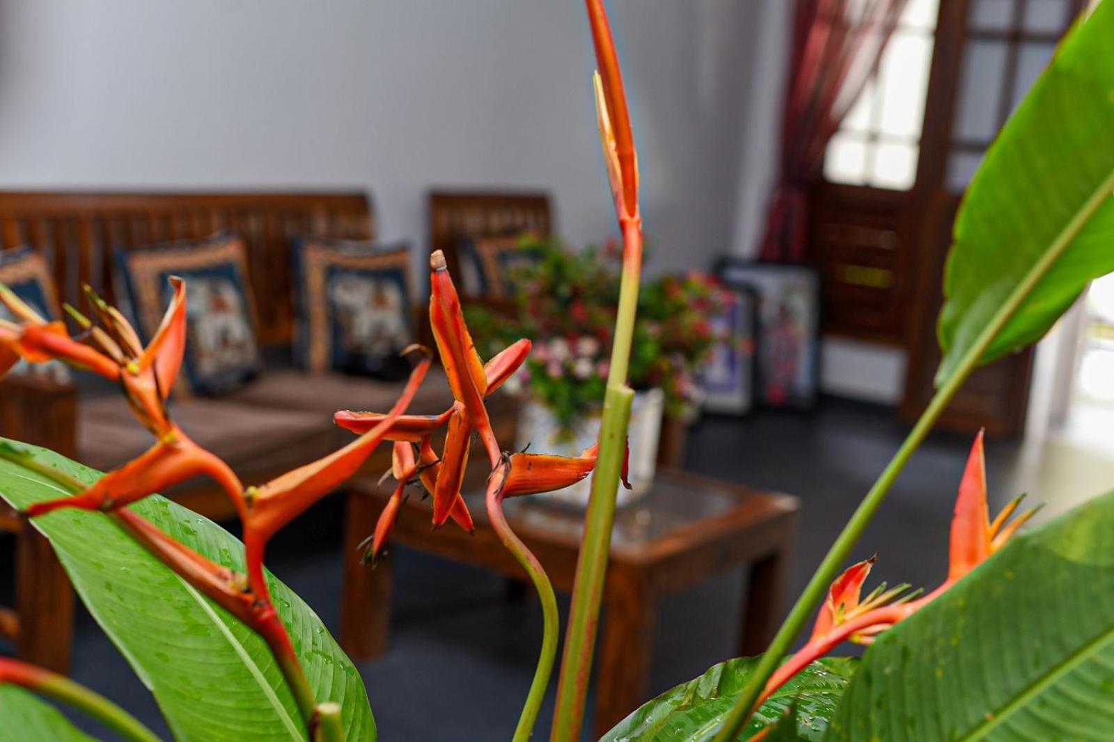 4Ty Two Homestay Galle Exterior photo